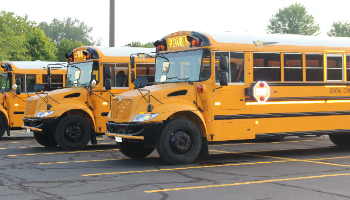 Yellow school buses lined up
